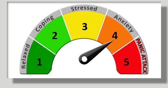 stress meter