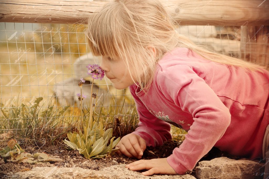 A child smelling a flower representing sense of smell