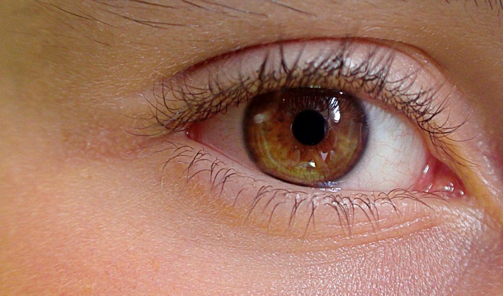 Photo of an eye representing sense of sight