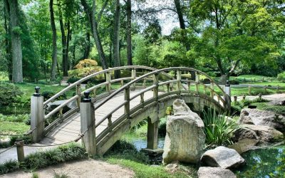Bridge over a stream that symbolizes how life coaching can help someone